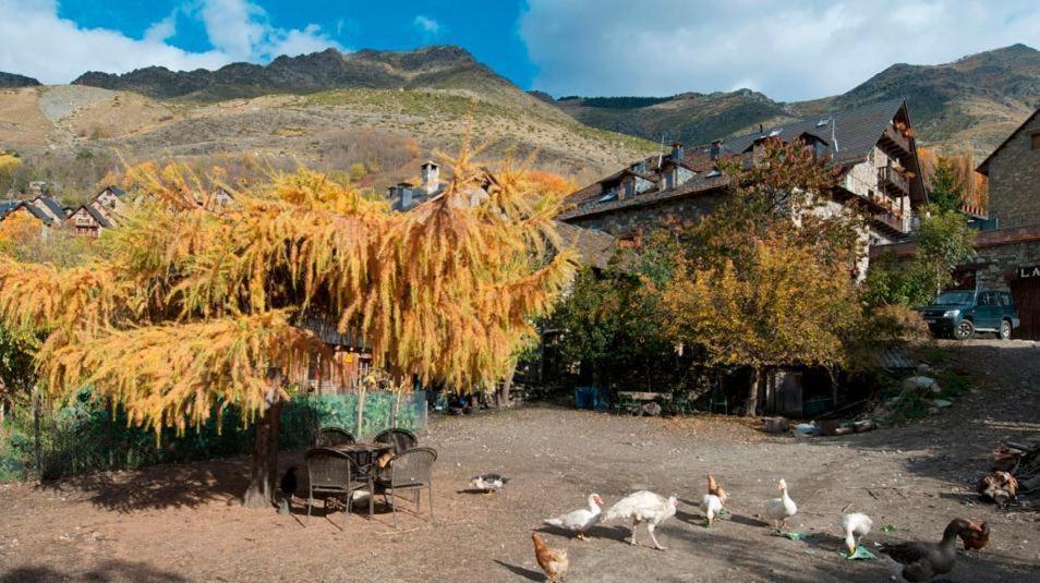 Casa Independiente Rural Ca De Corral Estación Værelse billede
